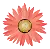 Floral logo design by Designity Studio